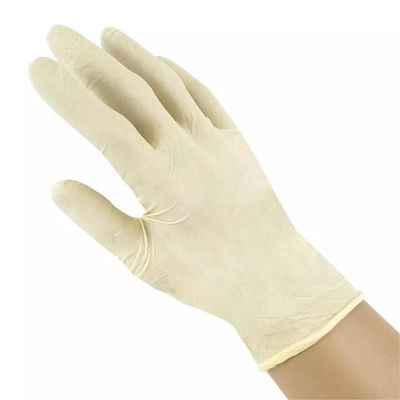 chirurgische Handschuh-steriler pulverisierter Sicherheits-Handlatex-Untersuchungshandschuh des Latex-6ml