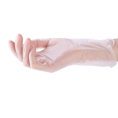 Pulverisieren Sie freie transparente glatte Noten-Vinylhandschuhe